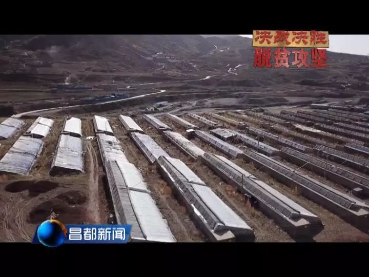 深耕生态产业助力脱贫攻坚,决战决胜脱贫攻坚产业扶贫新模式