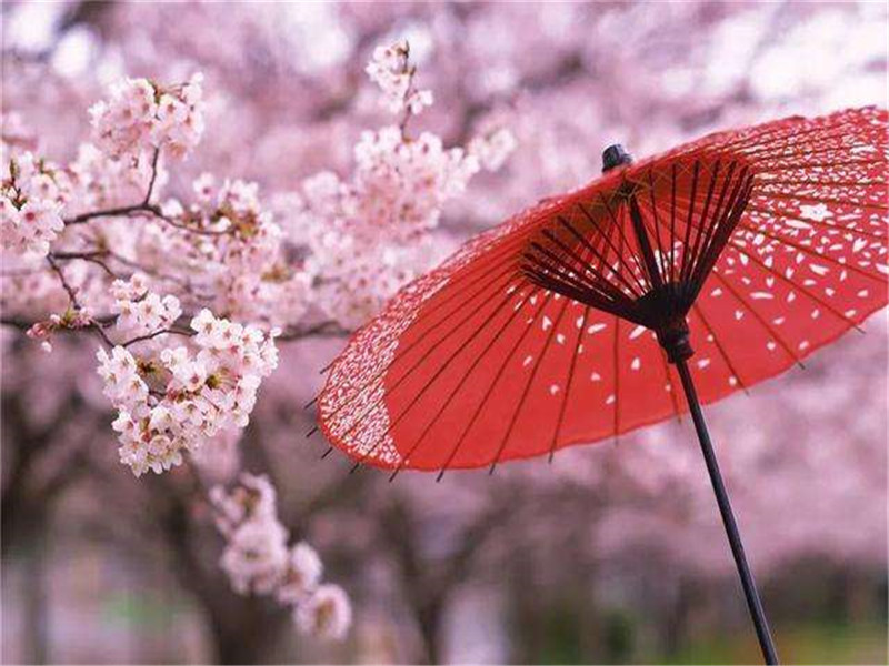 日语学习|8个表示“在…时候”的语法,全认识给你一颗棒棒糖