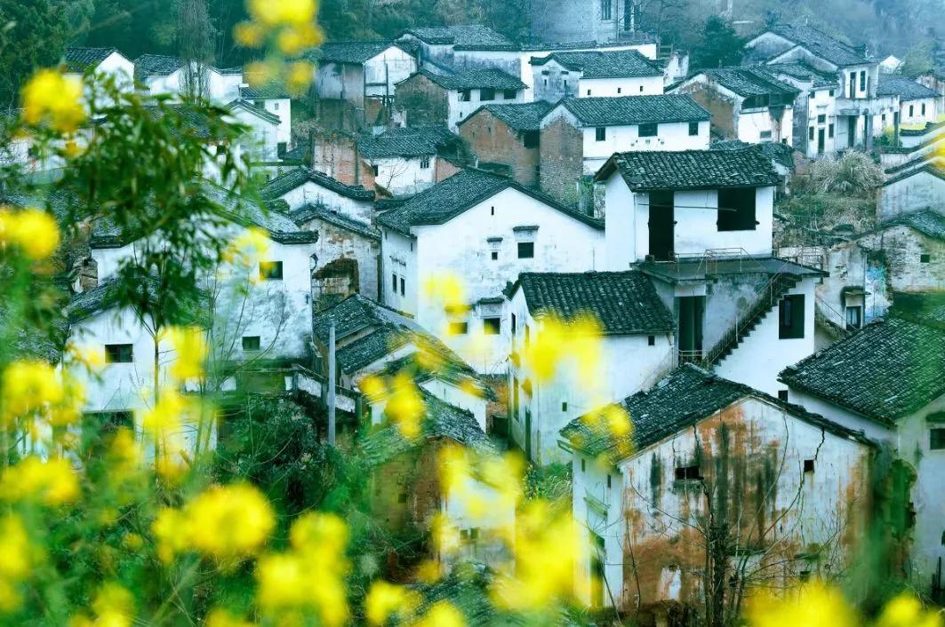 疫情防控取得阶段性胜利有序恢复,疫情胜利在望