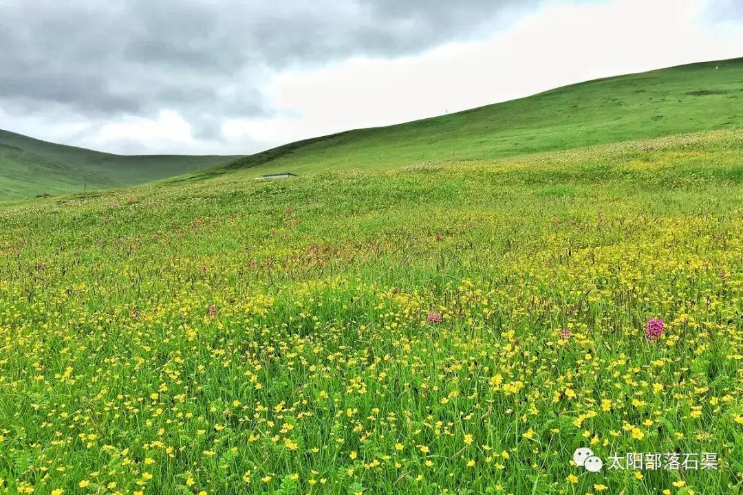 当石渠成为了一本书，你会从哪一页读起？