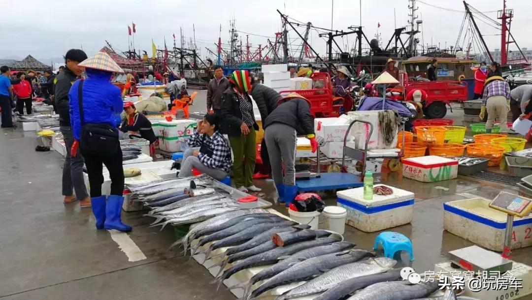 海南那么大，房车到底停哪里？纯干货分享海南三亚的窝窝