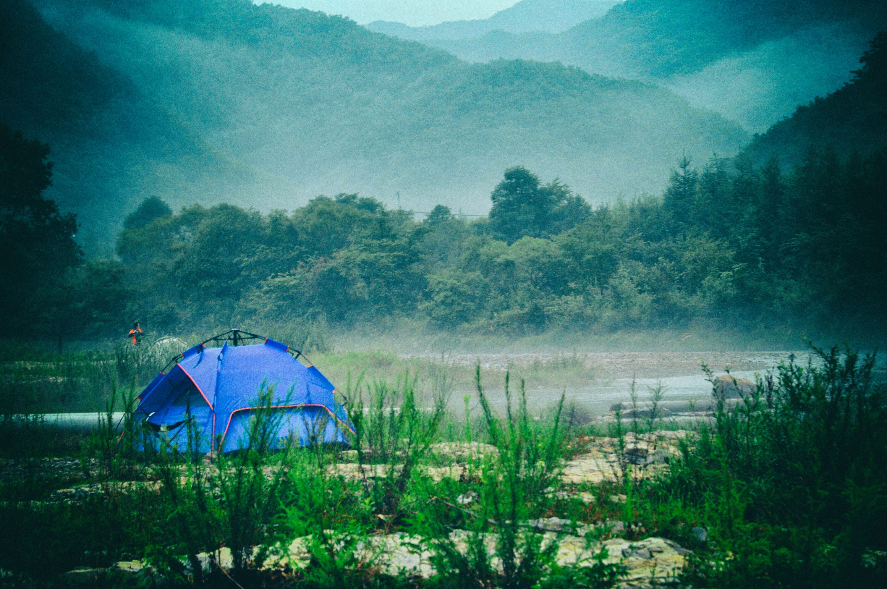 我的旅行群几百人，85%女性、我是群主，说说群里的那些奇葩事儿