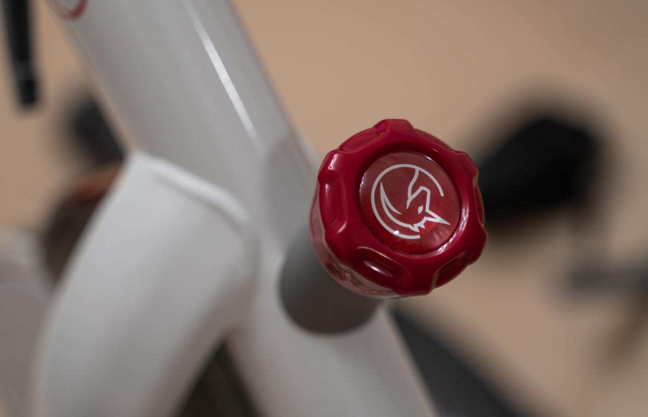 解锁宅家运动的更多乐趣:野小兽动感单车S1体验