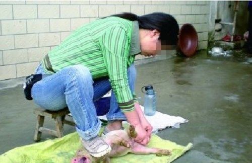 宝宝“黑指甲”,兽医妈妈治疗后无效,医生你家搞过卫生吗