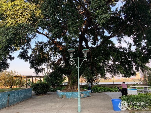 iphone8p和iphonexr谁更好,iphone8p和iphonexr哪个更好用