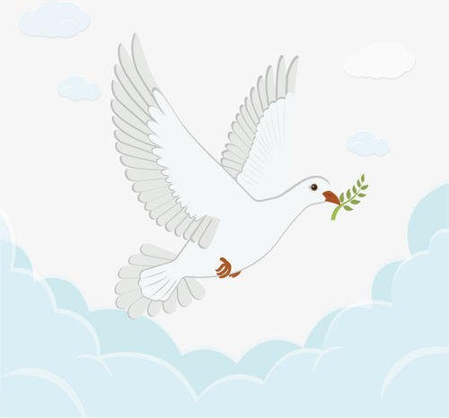 鸟儿放生抖音最火版,放生鸟最好在什么时候放生