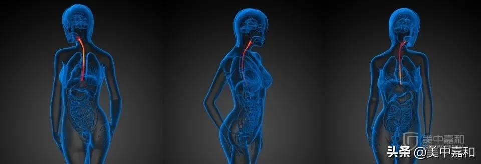 防止骨转移有没有药,不要惊慌完整版电影