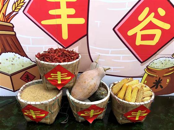 金花村照片,金花小吃招牌