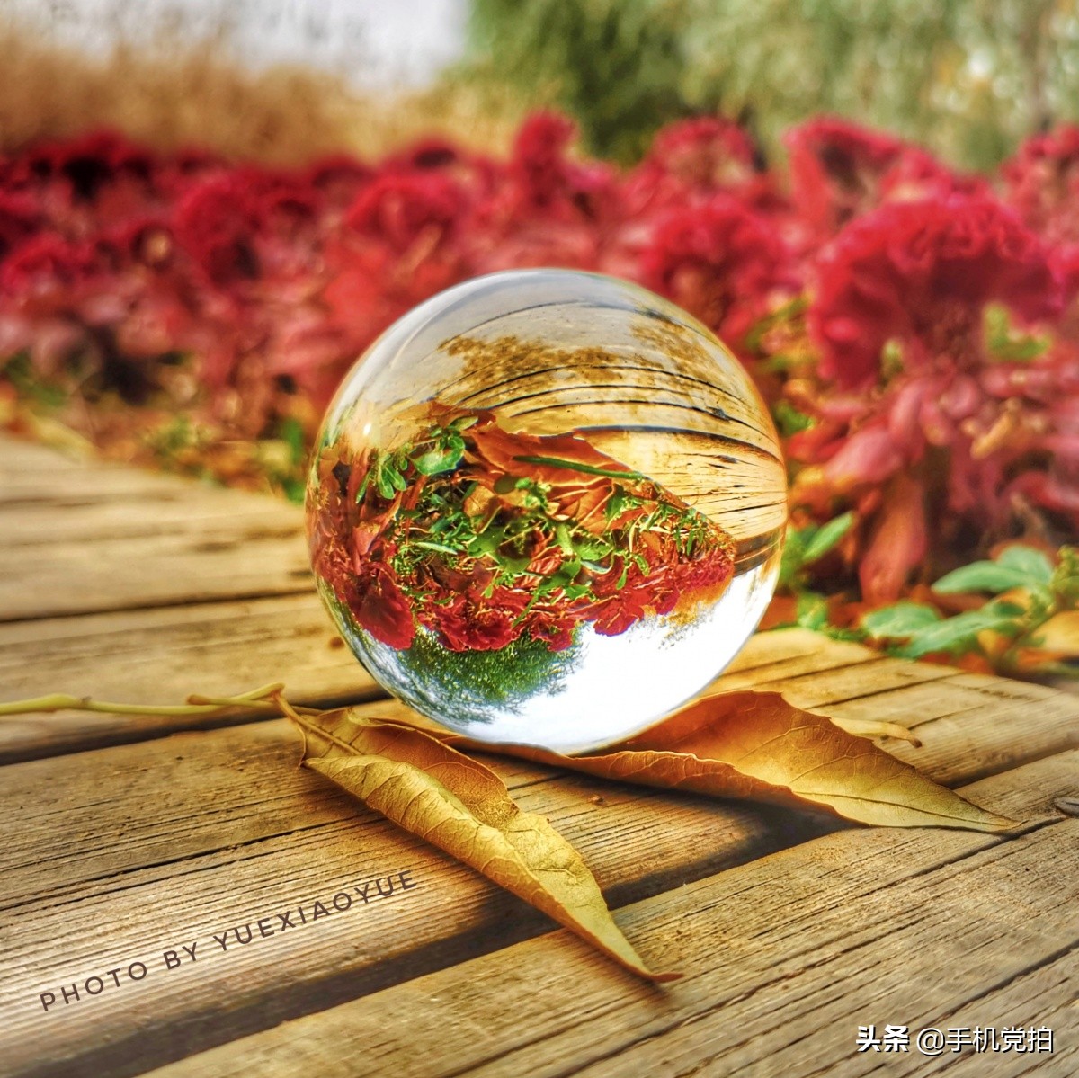 生活小妙招手机摄影,生活小妙招如何拍出爆款