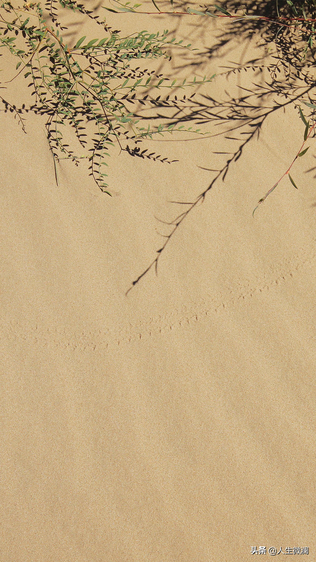 股经解读,股经分析