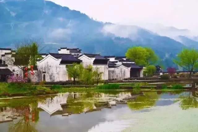 安徽春天美丽的视频,安徽美丽的春天