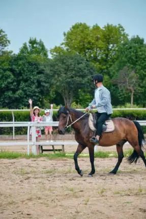 五湖四海的朋友来聚会,五湖四海的朋友来武汉