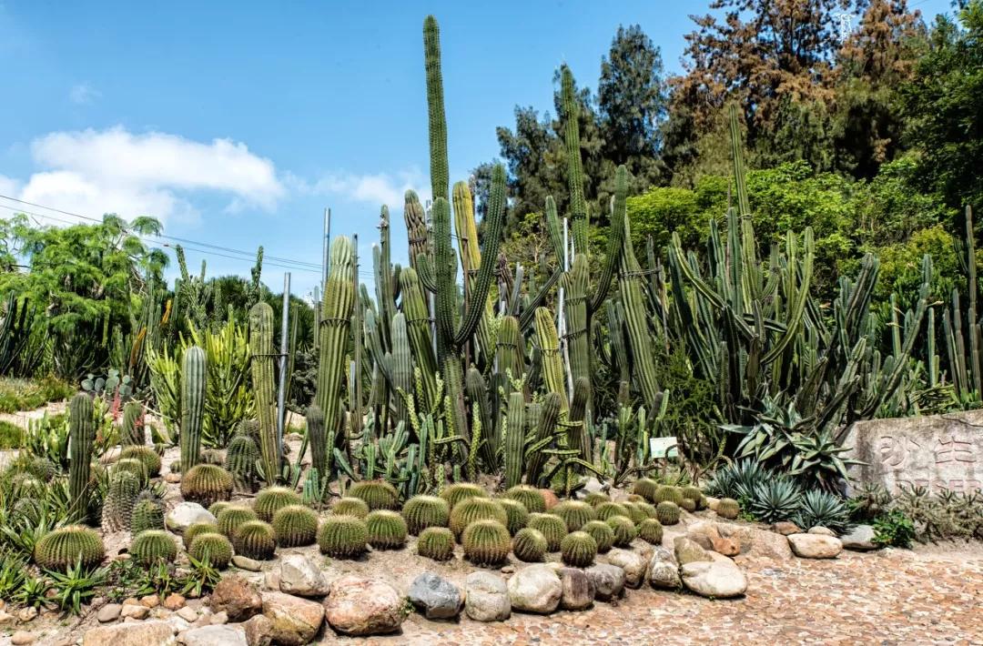 不远的旅游景点推荐,不远不贵不累8个国内亲子游