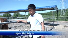 走向我们的小康社会,脱贫致富的小康生活