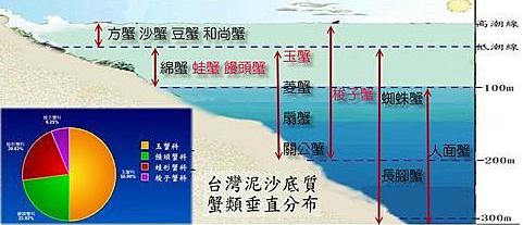 关于螃蟹科普知识,螃蟹科普