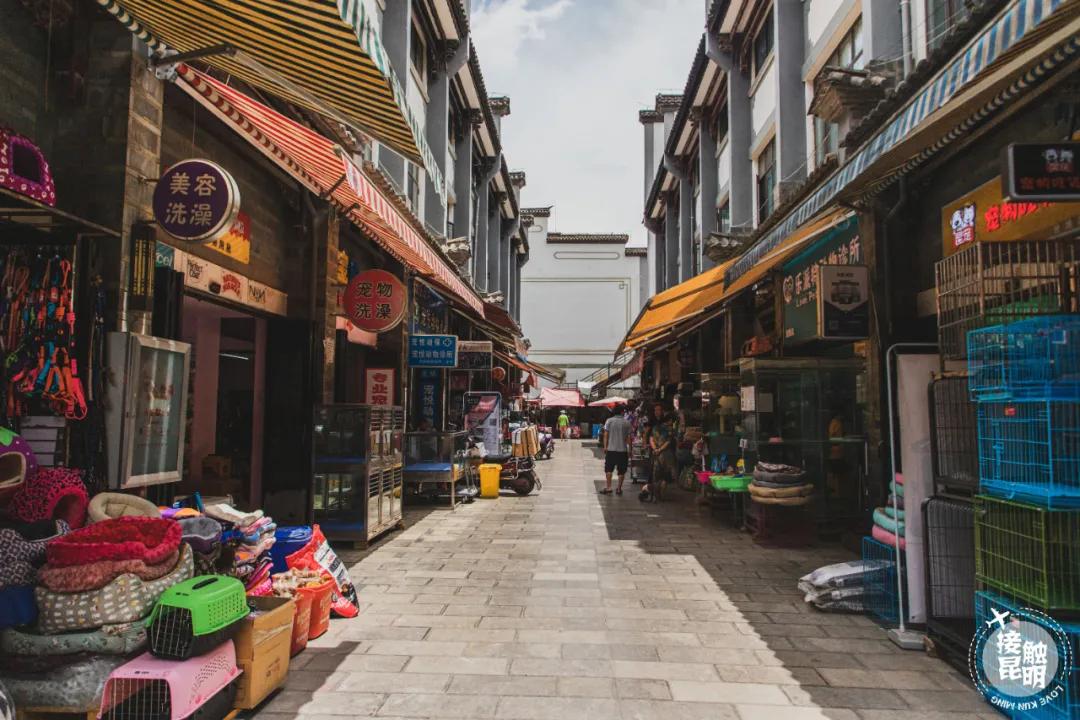 逛逛园博花鸟市场,园博花鸟市场攻略