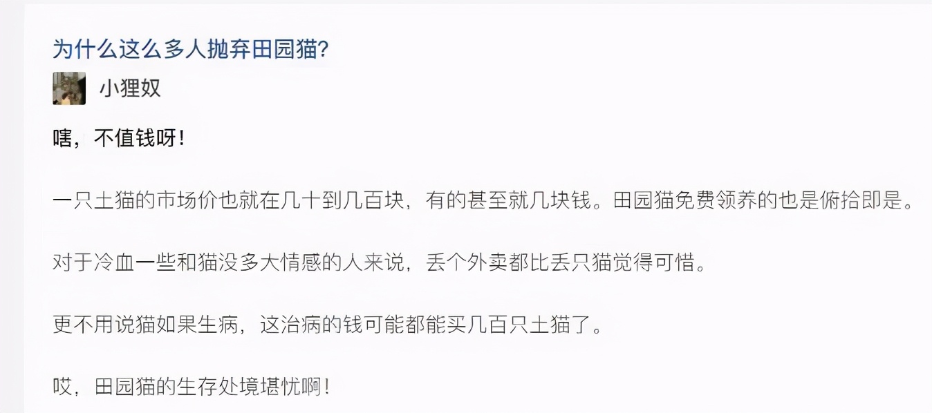 中华田园猫的品种介绍和图片大全,常见中华田园猫品种名称