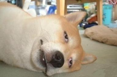 女玩家到底有多可怕,女玩家到底能有多魔怔