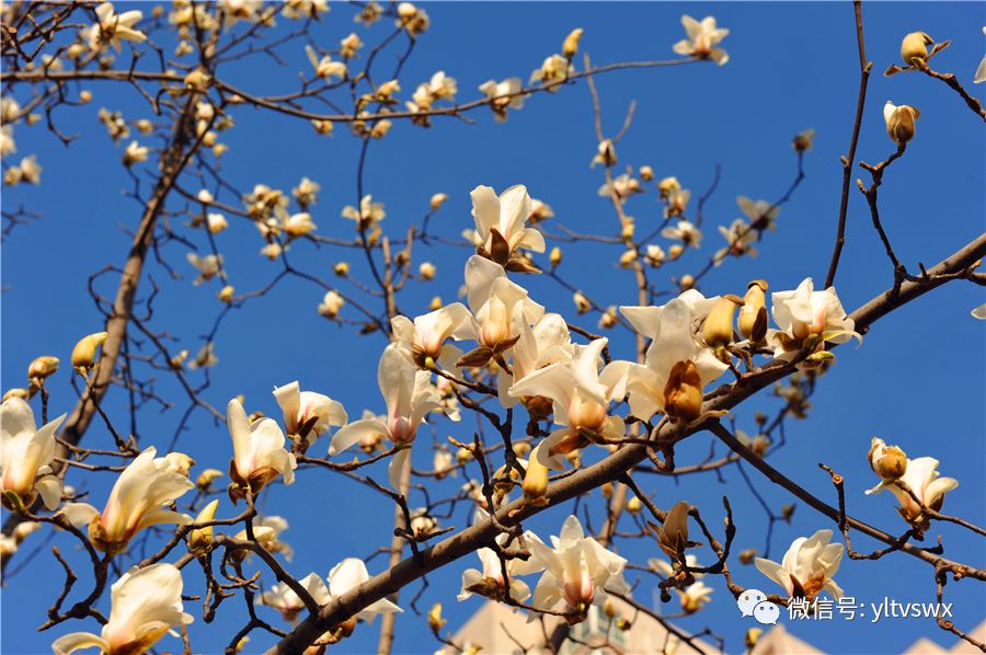 杨凌现状,杨凌最新照片