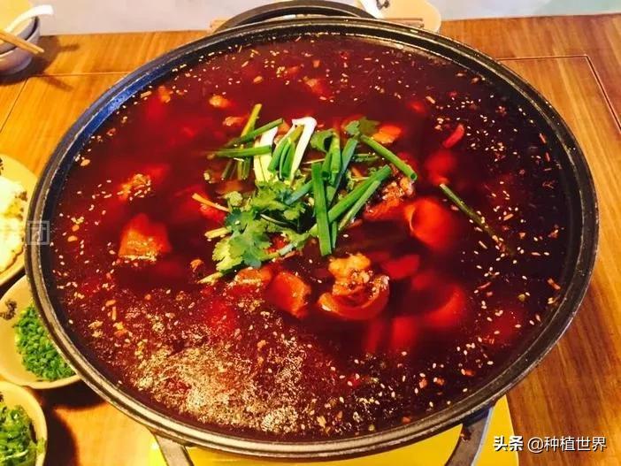 閬典箟鍗佸ぇ鐗硅壊缇庨,璐靛窞閬典箟鍗佸ぇ鐗硅壊缇庨