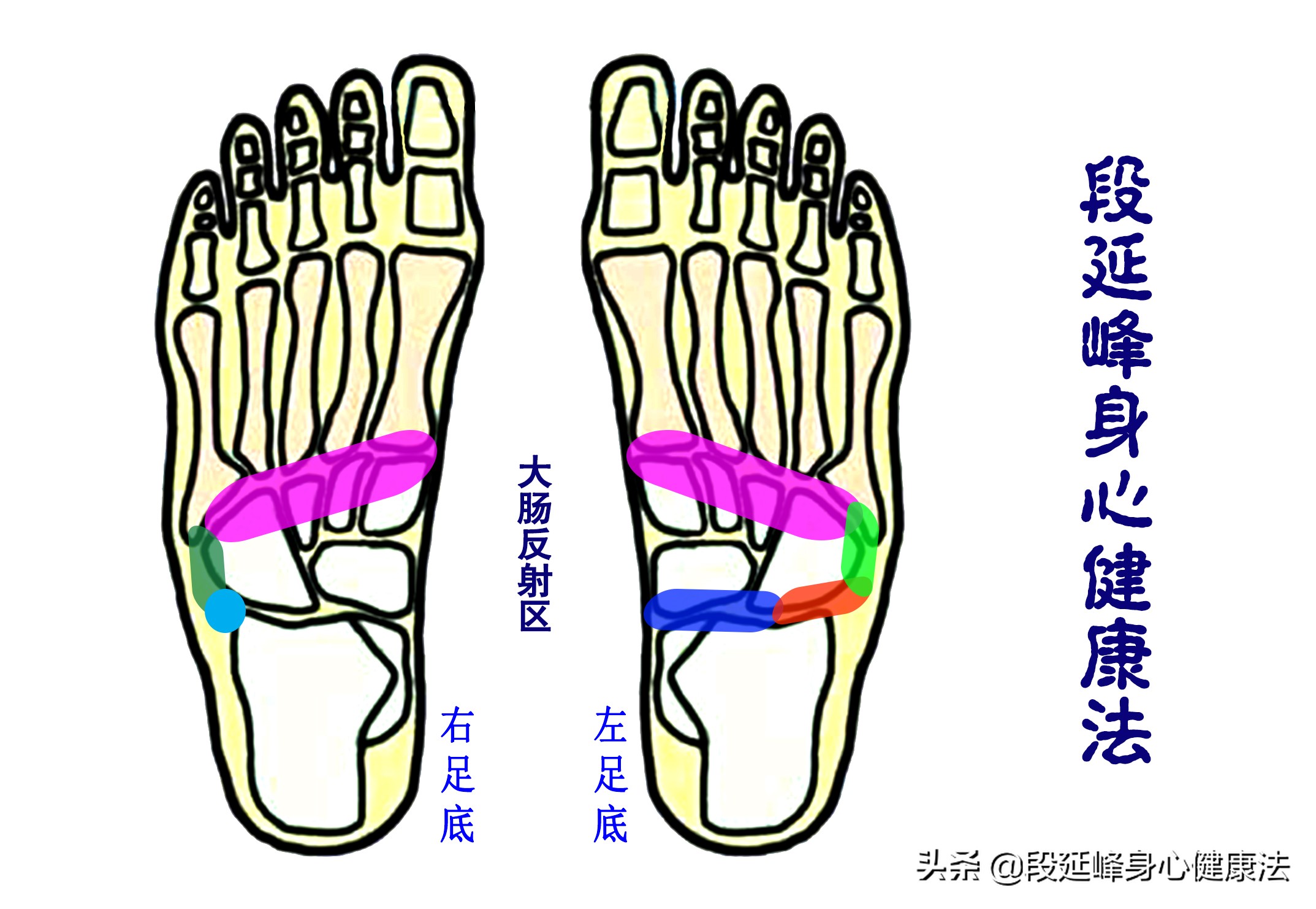 胃肠动力不足中药如何调理,胃肠功能紊乱胃动力不足怎么办