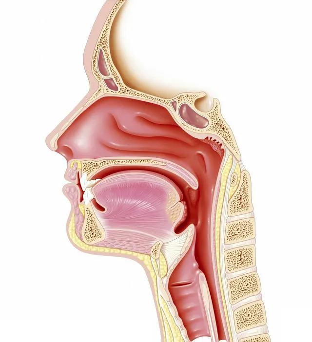 过敏性鼻炎太难缠？教你3个简单方法