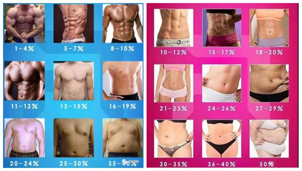 减小肚子的赘肉最快方法小视频,减小肚子赘肉最有效的方法是什么