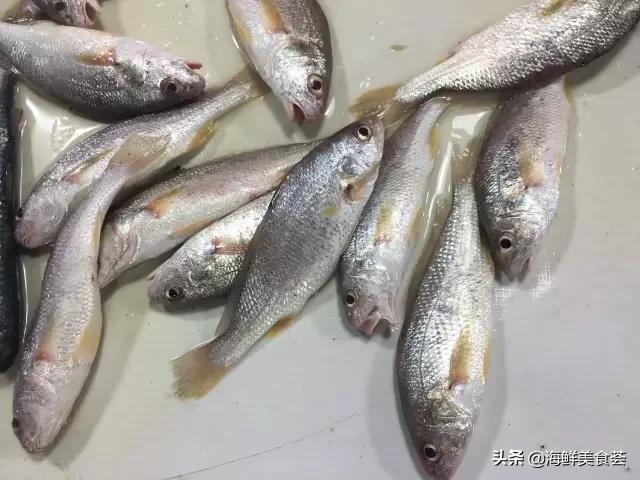 常见的鱼虾蟹等海鲜的认识,虾蟹类海鲜大全