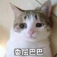 微商帝国一年纳税21亿，利润超百亿，喜提邮轮？