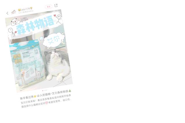 小红书推荐猫粮,猫粮小红书达人