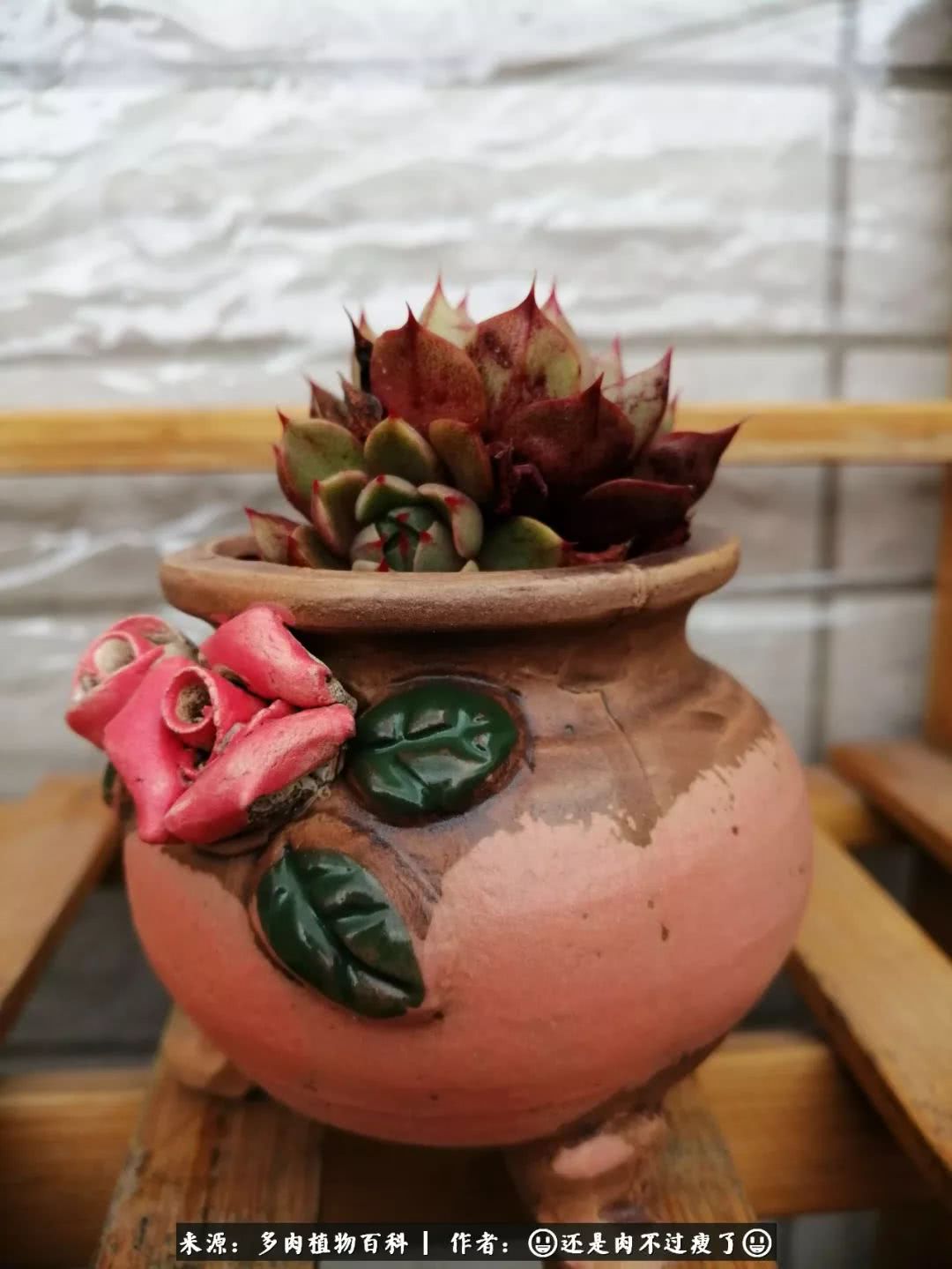 日照弘一法师,日照法师请师父