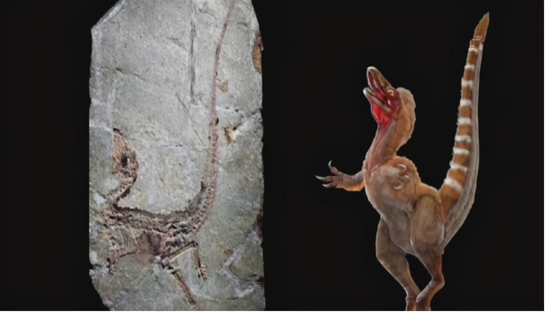 恐龙是怎么灭绝的答案,科学家进校园之恐龙灭绝原因