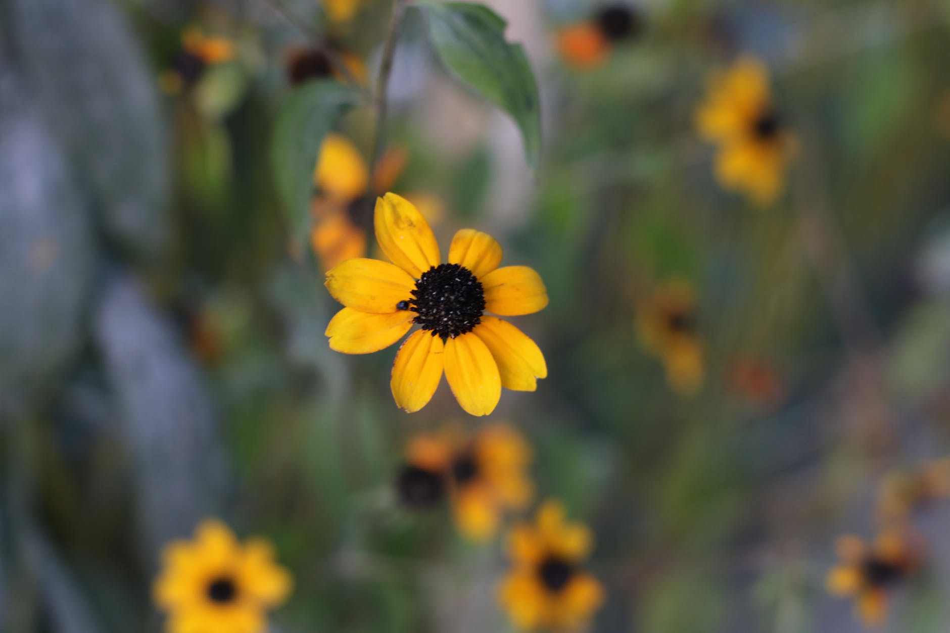 为什么会嫉妒老公的前女友,嫉妒男友的前女友