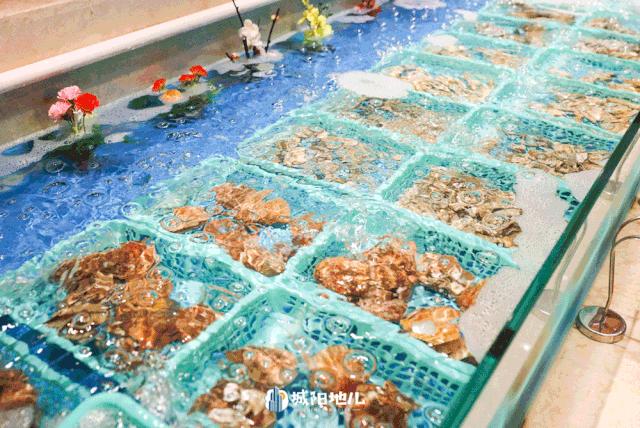 人均不到300的自助餐厅四星级酒店,海鲜自助高性价比酒店推荐