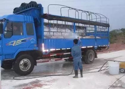 收藏｜史上最全的非洲猪瘟复养方案