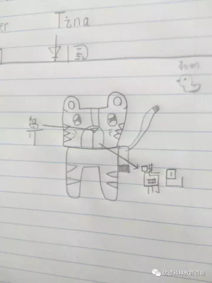 想去泰国当中文老师有什么要求,中国人如何去泰国当中文老师