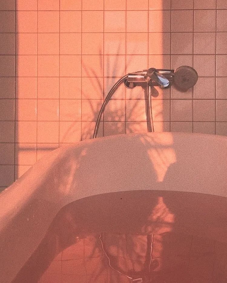 永远有一个吻未尝,印下无踪迹的温柔|DearDahlia