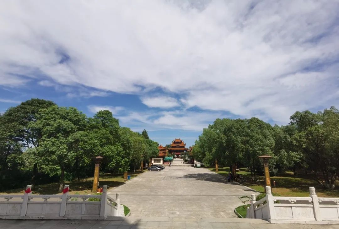 登上富乐山山顶看绵阳美景,登高赏菊富乐山