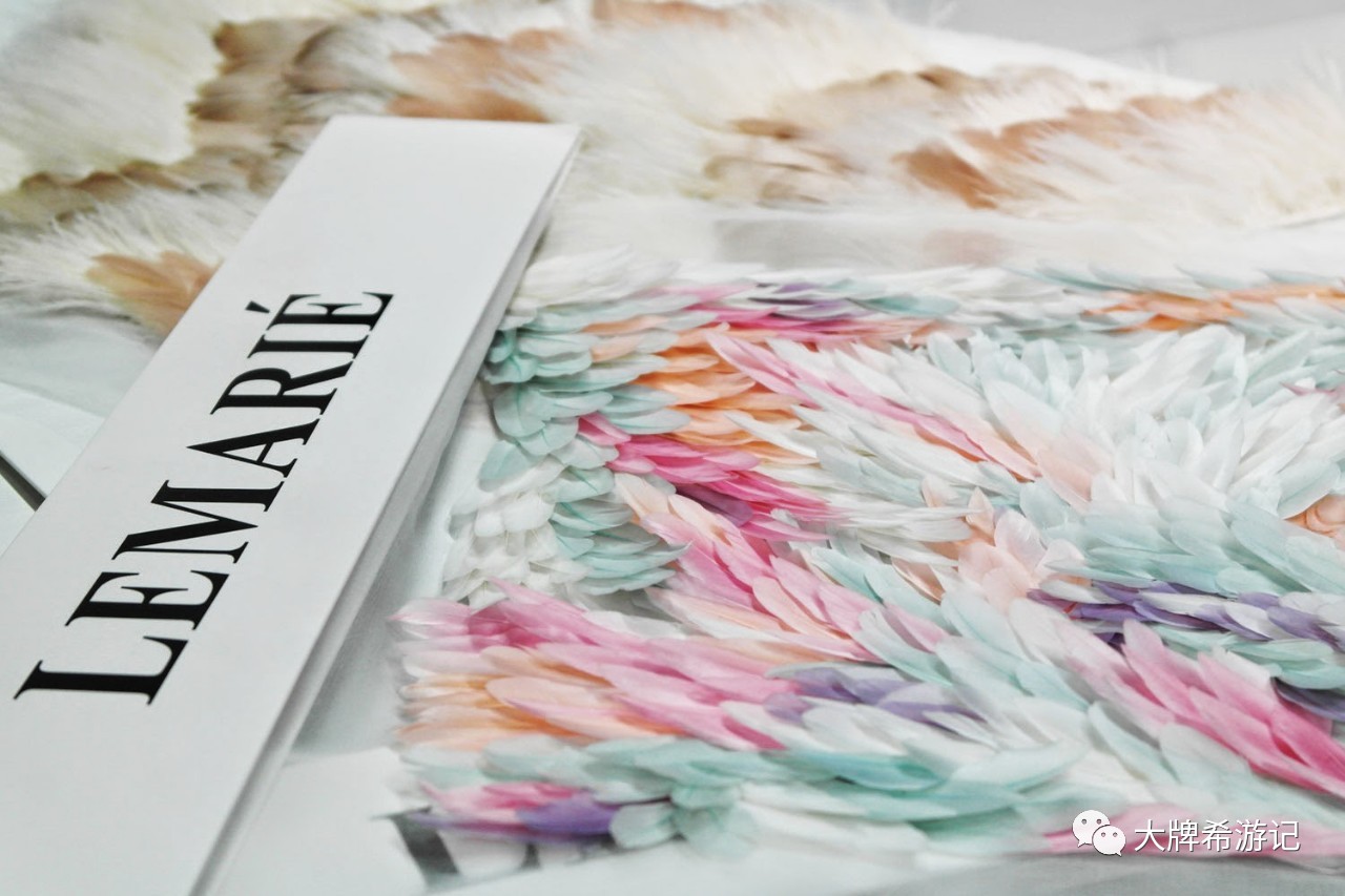 香奈儿chanel2024春夏高级成衣系列,chanel卖衣服