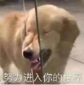 手机微信公众号排版编辑器哪个好,免费微信公众号排版编辑器哪个好