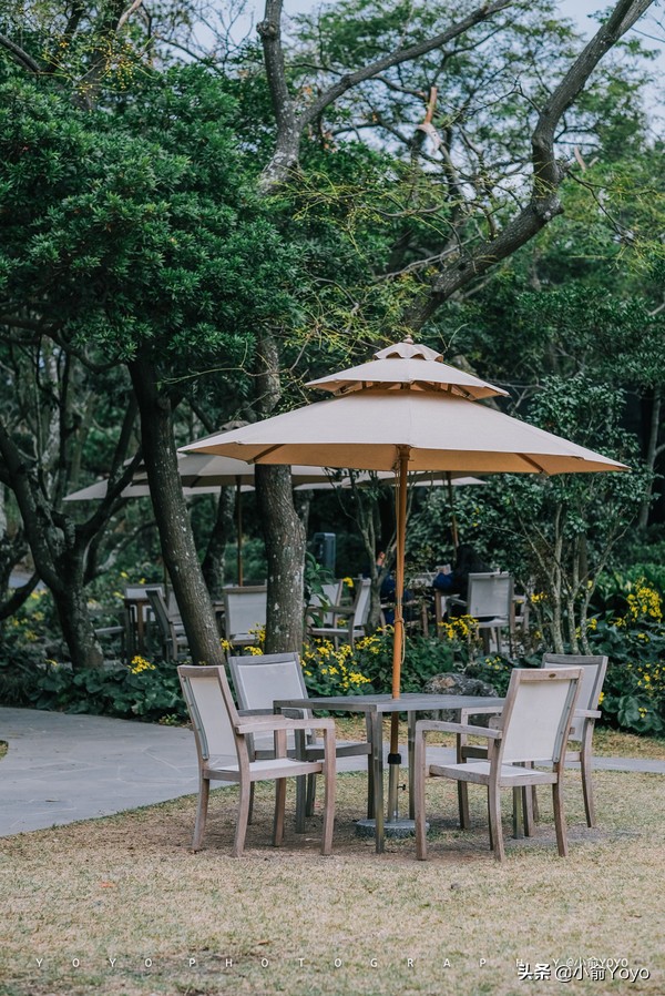 济州岛最值得去的地方,来济州岛第一天去哪玩