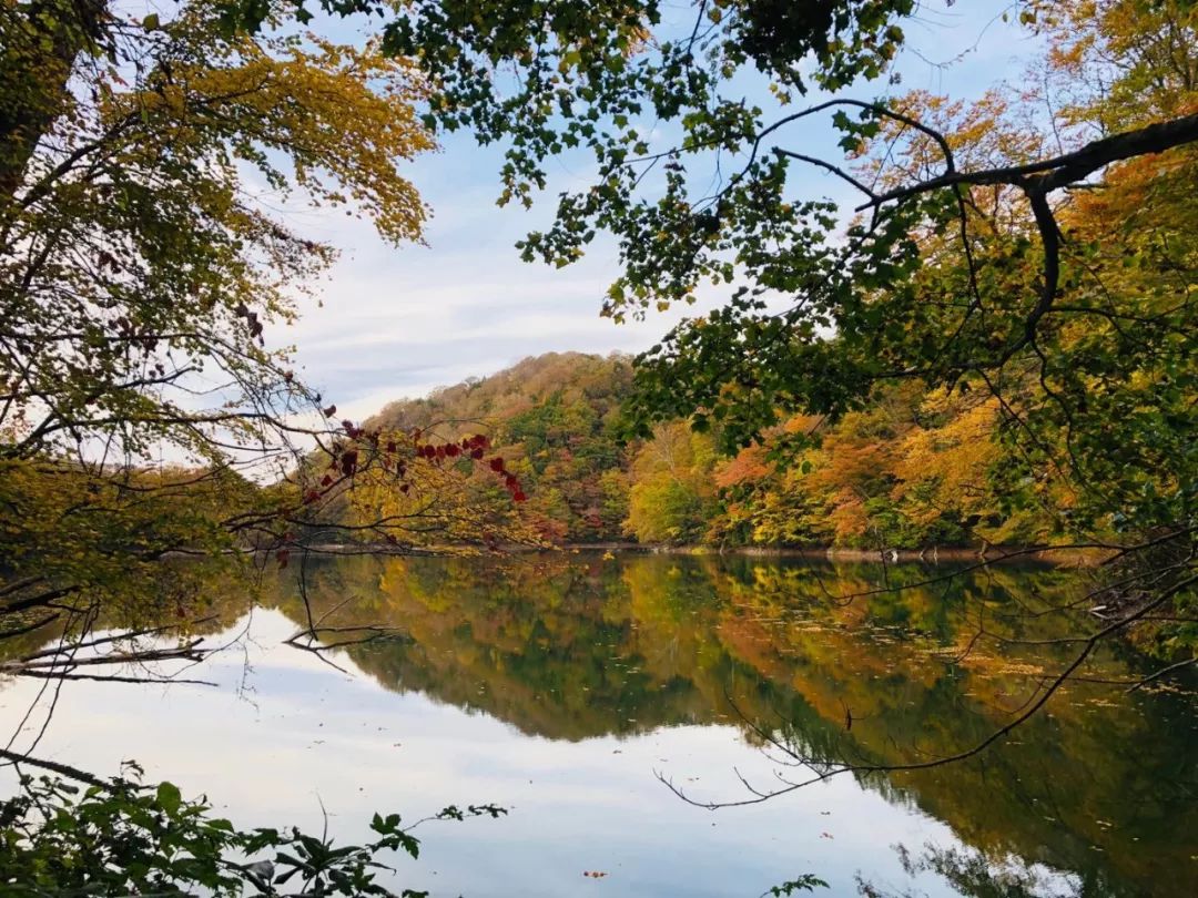 留学生放宽签证条件,赴日签证2024