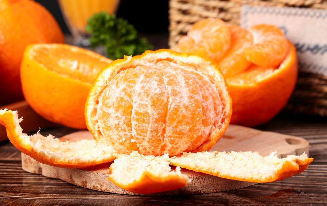 别再给猫咪喂食“这些食物”了,一不小心,命都没了