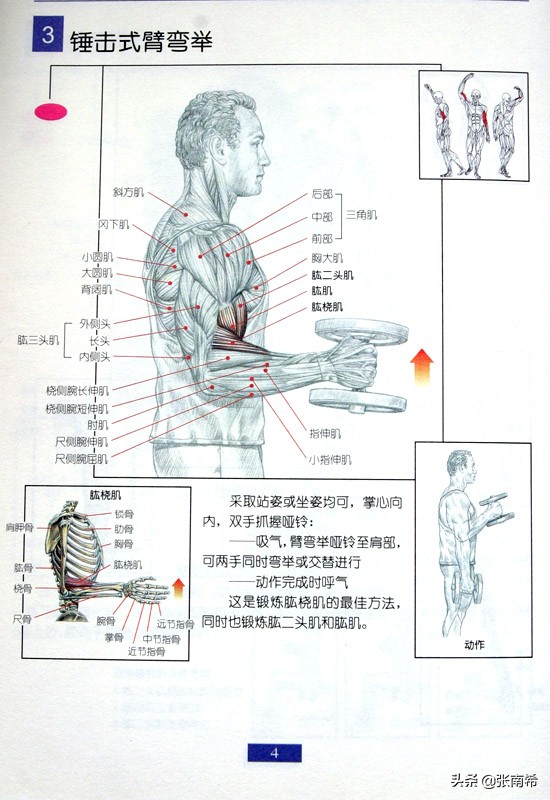 男士健身的进阶之路,男士运动健身全攻略