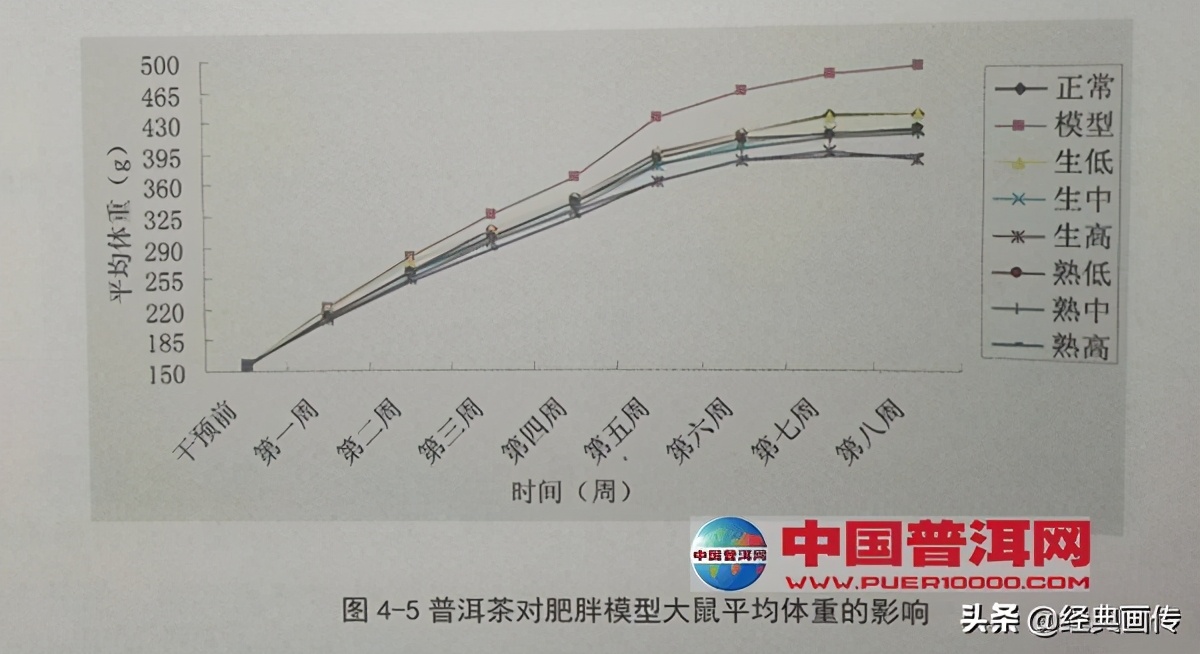 荷叶普洱茶有减肥的功效吗,普洱茶的减肥功效