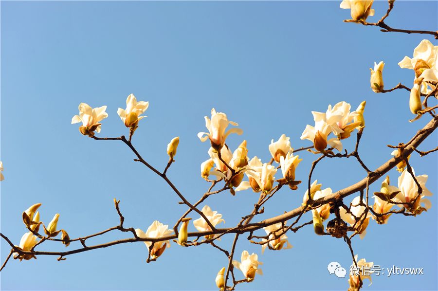 杨凌现状,杨凌最新照片