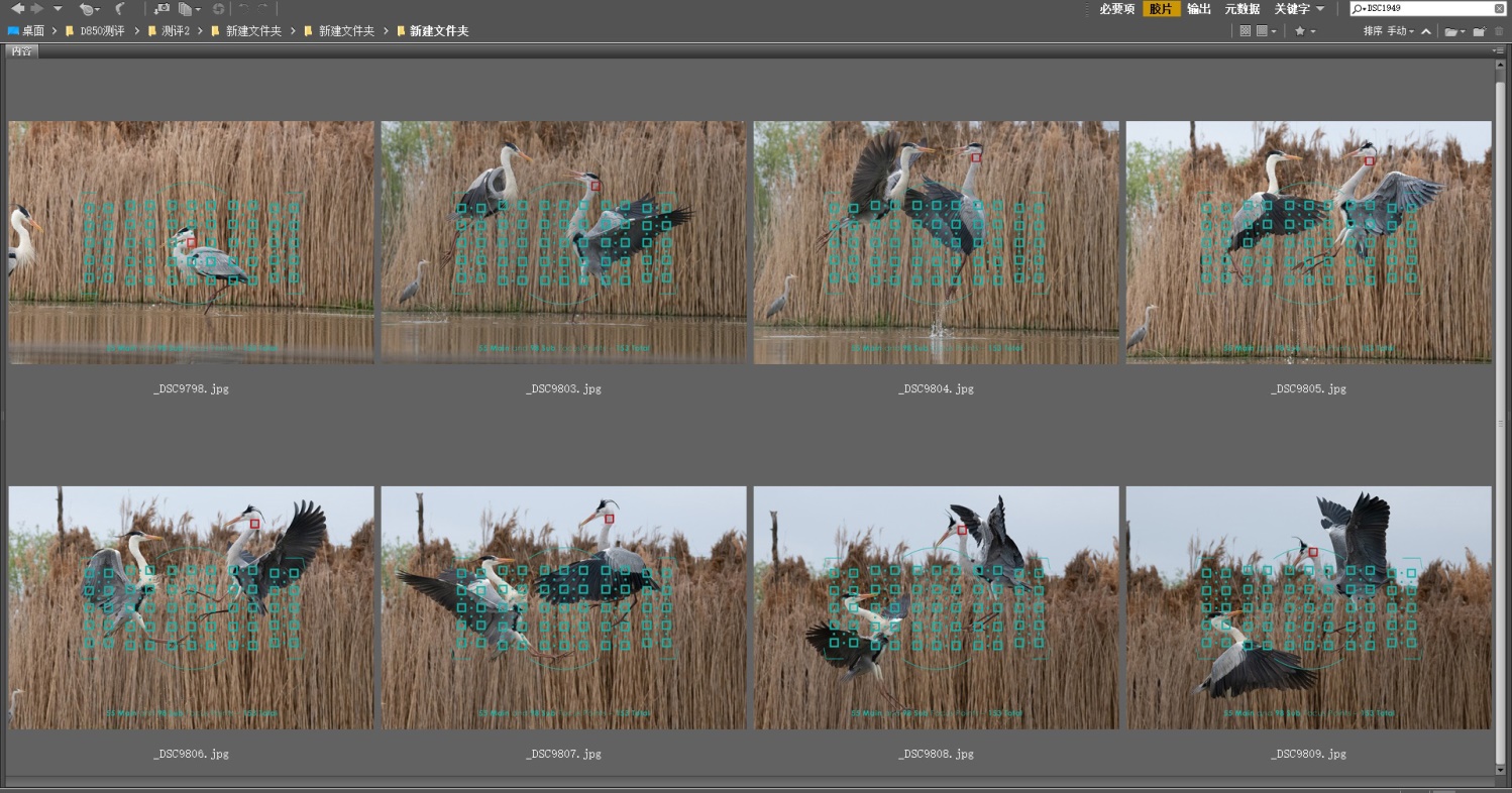 尼康nikond850拍摄视频,摄影器材篇尼康d850