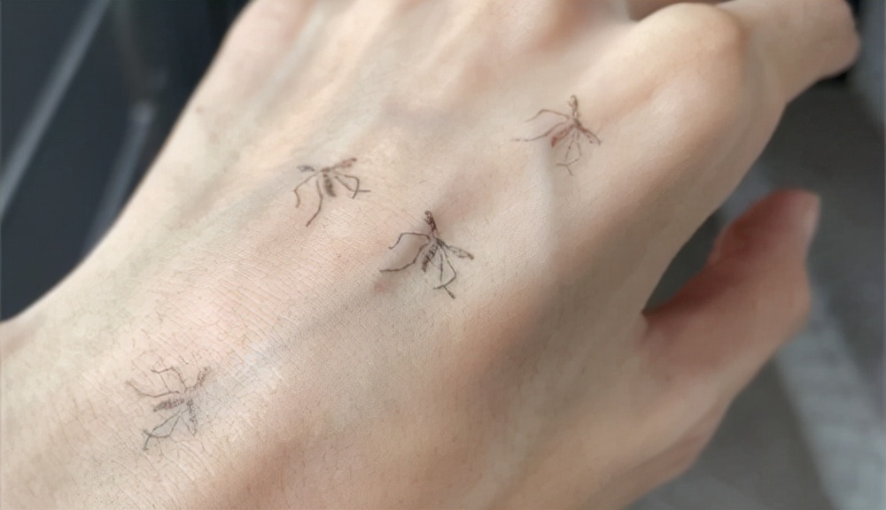 日本死亡日记本,日本死蚊子印章