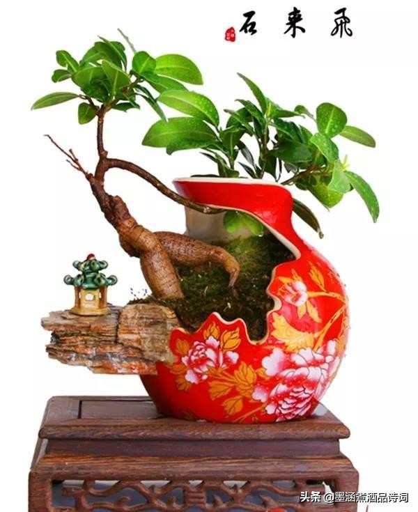 国学读本及名言名句55句,国学名言警句摘抄大全简短