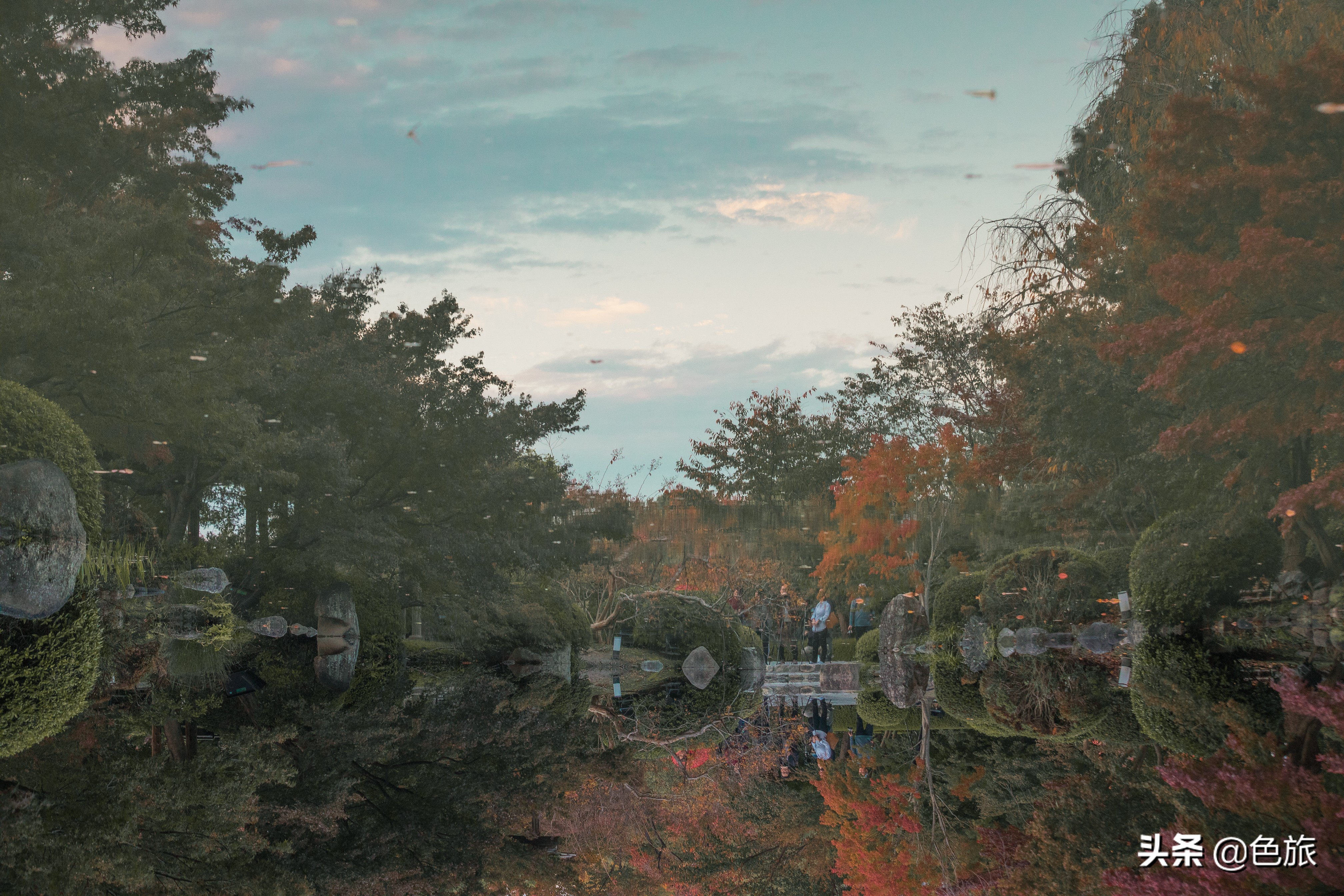 妖猫传日本访唐,妖猫传日本大师